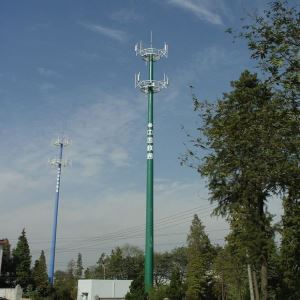 Monopoles