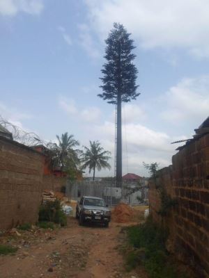 বায়োনিক যোগাযোগ একক নল গাছ টাওয়ার